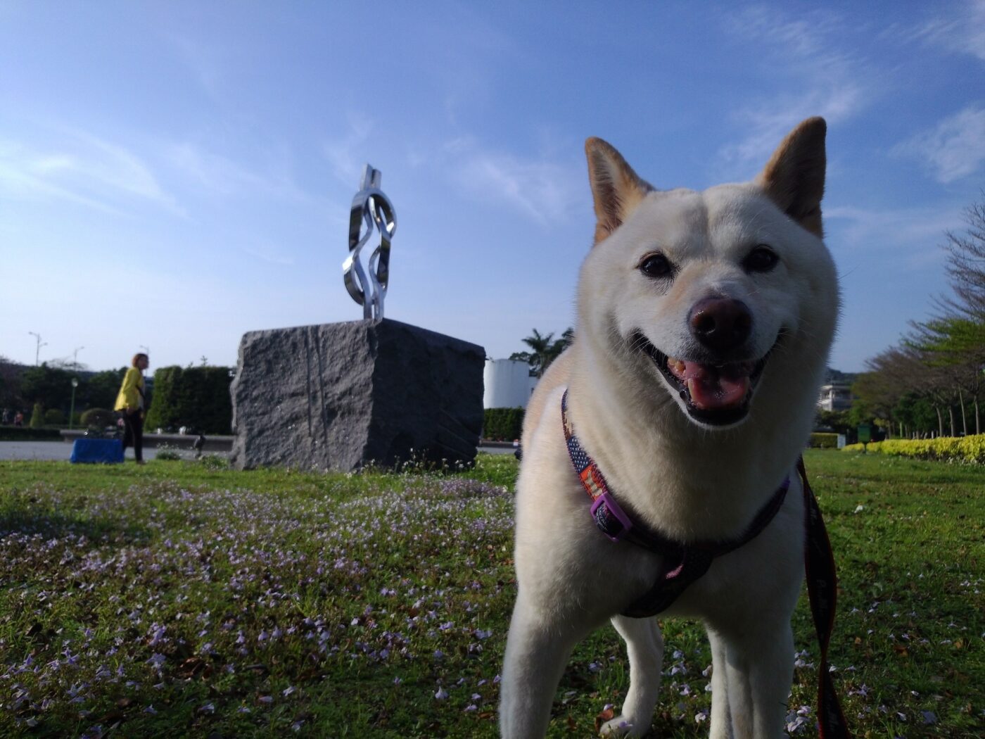 20190419223419 (2).jpg