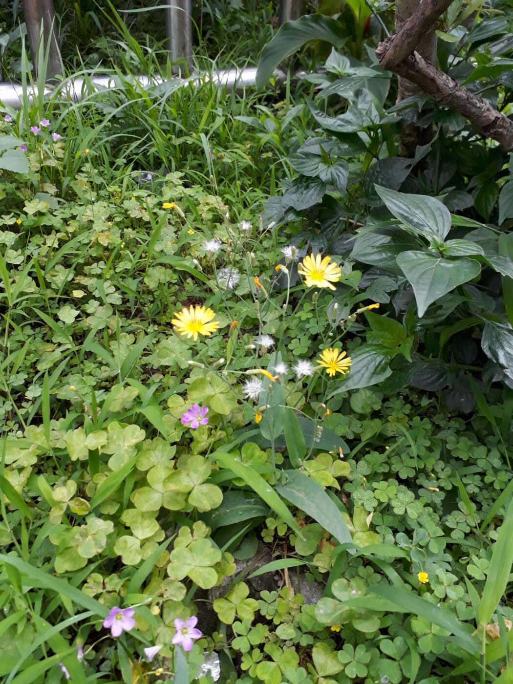 20190420_130506