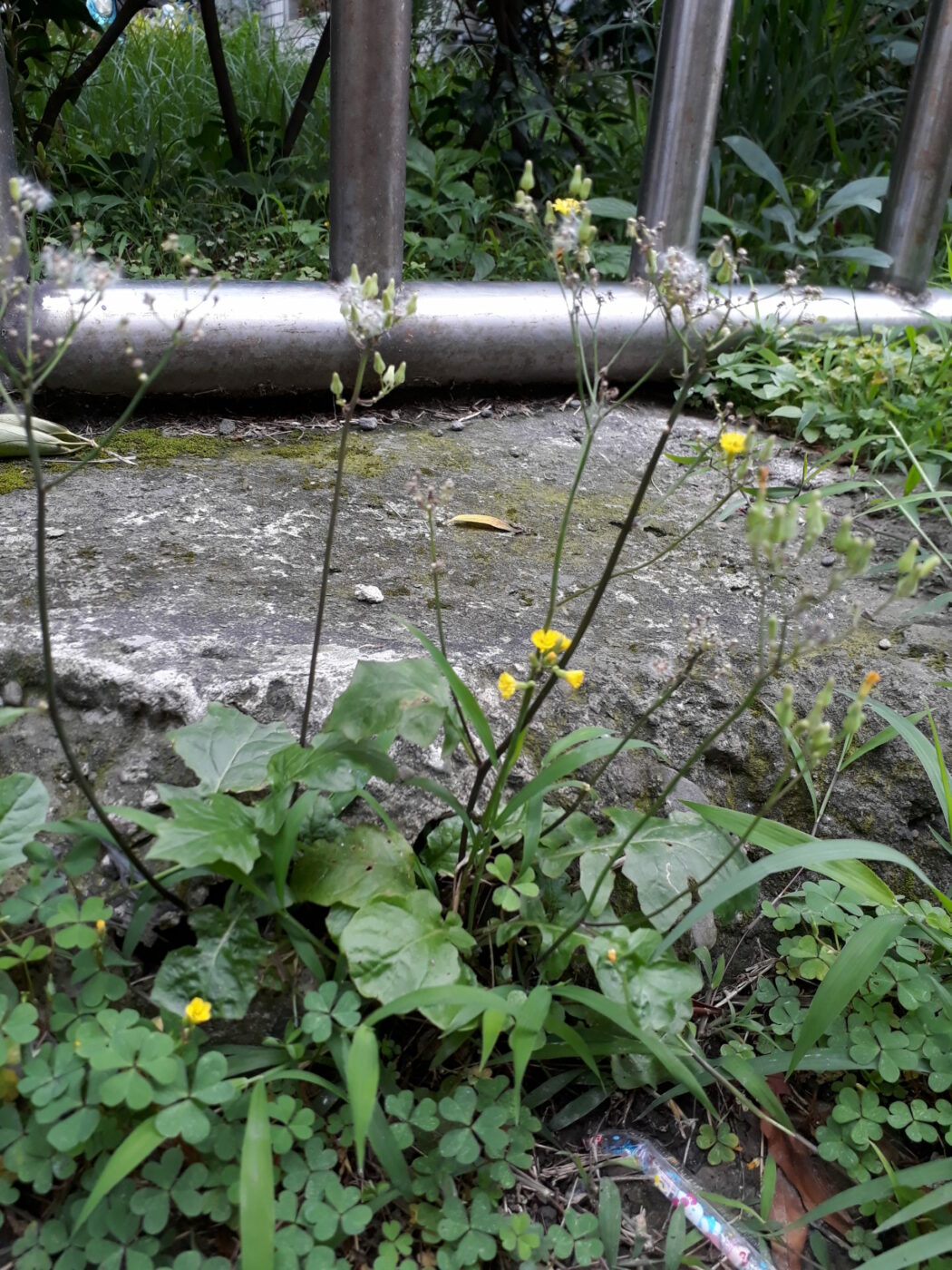 20190420_130513